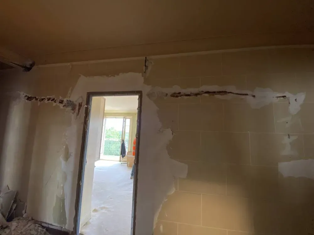 César Pupat (1)webp