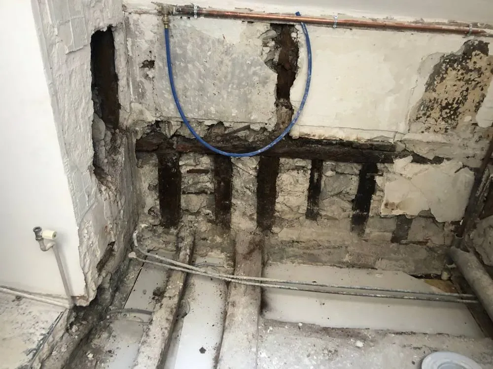 John Renov' - Paris 3 (3)